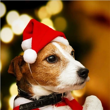 Gato Sombrero de la Navidad la Navidad Perros Accesorios Perros Sombreros Producto de Pet Sombrero de Invierno para un Gato Bulldog francés Sombrero para un Gato Sombrero para Perros