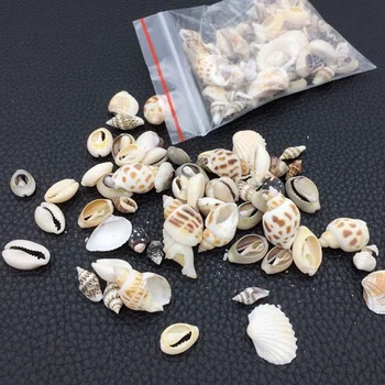 Natural de Conchas de Mar Impresión Shell de Decoración Para la Fabricación de la Joyería de Bricolaje Manualidades el coquillage Playa de Decoración Accesorios 1bag 30g