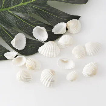 30g 27x21.5mm Pequeñas Conchas Decoración Natural de Conchas de Perlas de adivinar con caracoles Cowrie DIY de la Joyería Artesanal de Accesorios sobre 30pcs