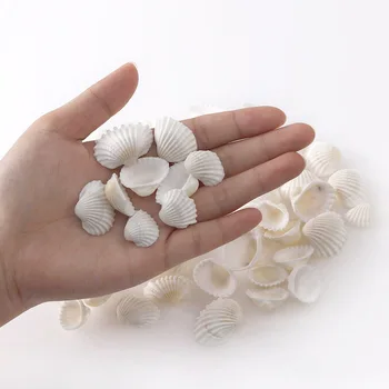 30g 27x21.5mm Pequeñas Conchas Decoración Natural de Conchas de Perlas de adivinar con caracoles Cowrie DIY de la Joyería Artesanal de Accesorios sobre 30pcs