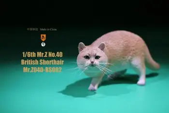 MRZ040-BS En Stock 1/6 Figura de la Escena Accesorios Señor Z Animal Gato Británico de Pelo corto de Resina Modelo Animal para 12