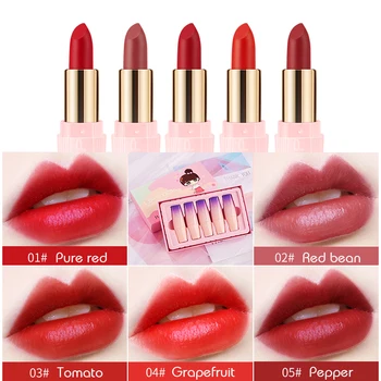 5 Colores de barras de labios Mayorista de Larga duración Fácil De llevar Impermeable de la barra de labios Femeninos de las mujeres de los cosméticos para los labios
