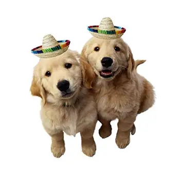 3pcs Lindo Sombrero Divertido Sombrero para Perro/Gato de Paja Natural Mascota Sombrero Sombrero Mexicano Escritorio Decoraciones Carnaval/la Fiesta de Cumpleaños de Suministros